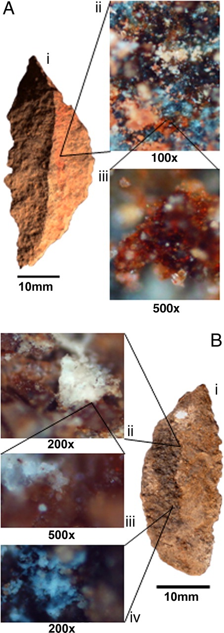 Stone tools (segments) with adhesive from Sibudu Cave.  Segment with red ochre visible to the naked eye as well as microscopic views of red ochre and plant gum on the tool. (Click on image to view larger.)